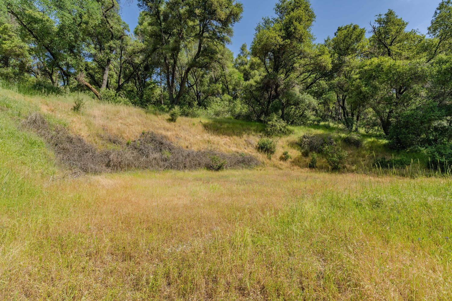 Detail Gallery Image 16 of 80 For 20651 Bertone Rd, Fiddletown,  CA 95629 - – Beds | – Baths