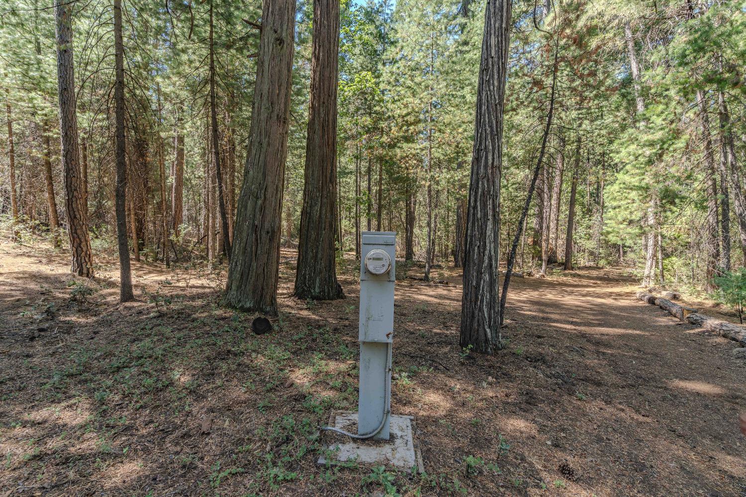 Detail Gallery Image 3 of 35 For 19375 Cherokee Ln, Volcano,  CA 95689 - – Beds | – Baths