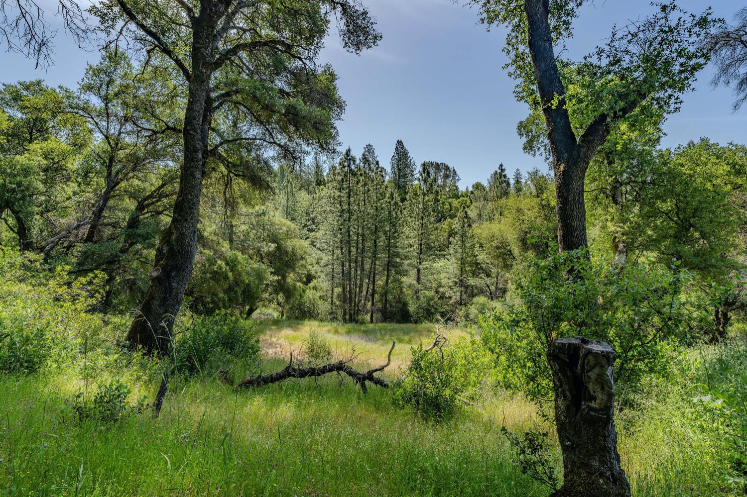 Detail Gallery Image 27 of 80 For 20651 Bertone Rd, Fiddletown,  CA 95629 - – Beds | – Baths
