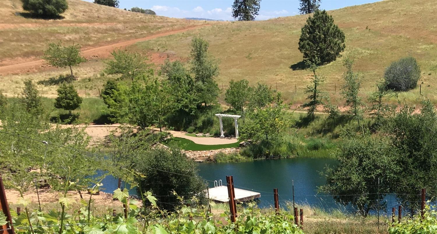 Detail Gallery Image 7 of 90 For 7005 Mountain Ranch Rd, Mountain Ranch,  CA 95246 - – Beds | – Baths