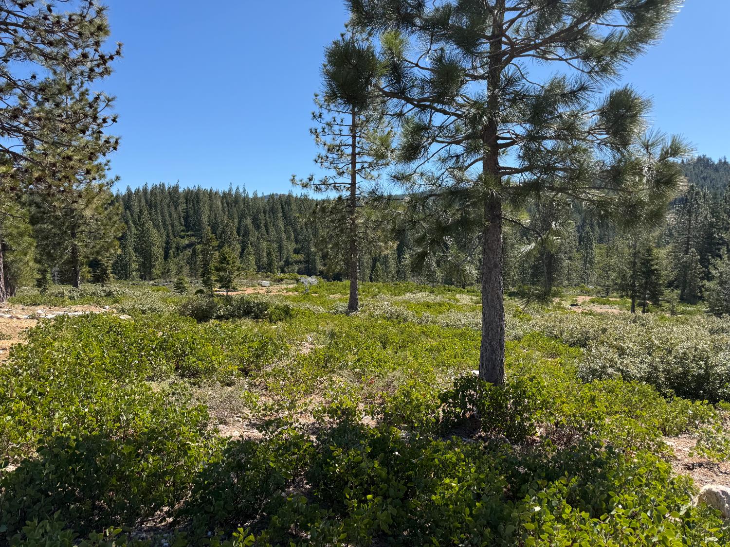 Detail Gallery Image 21 of 35 For 0 Ancho Mine Rd (Lot-1), Nevada City,  CA 95959 - – Beds | – Baths