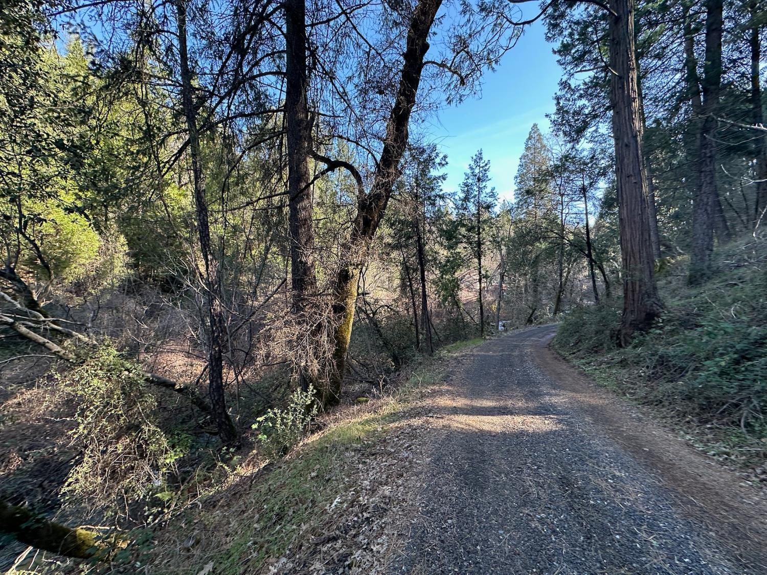 Detail Gallery Image 4 of 13 For 0 Ne Treasure Rock Ln, Placerville,  CA 95667 - – Beds | – Baths