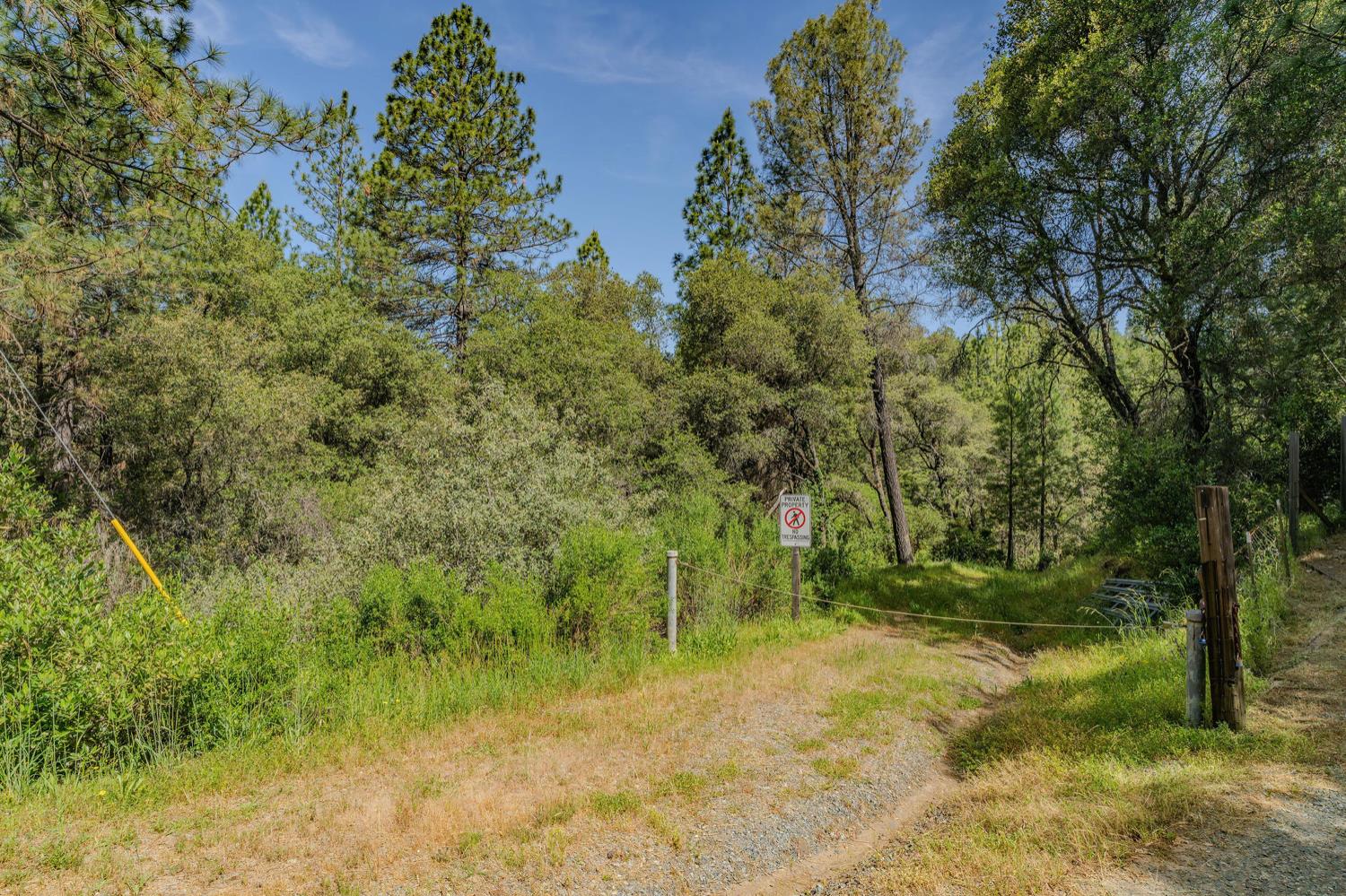 Detail Gallery Image 3 of 80 For 20651 Bertone Rd, Fiddletown,  CA 95629 - – Beds | – Baths