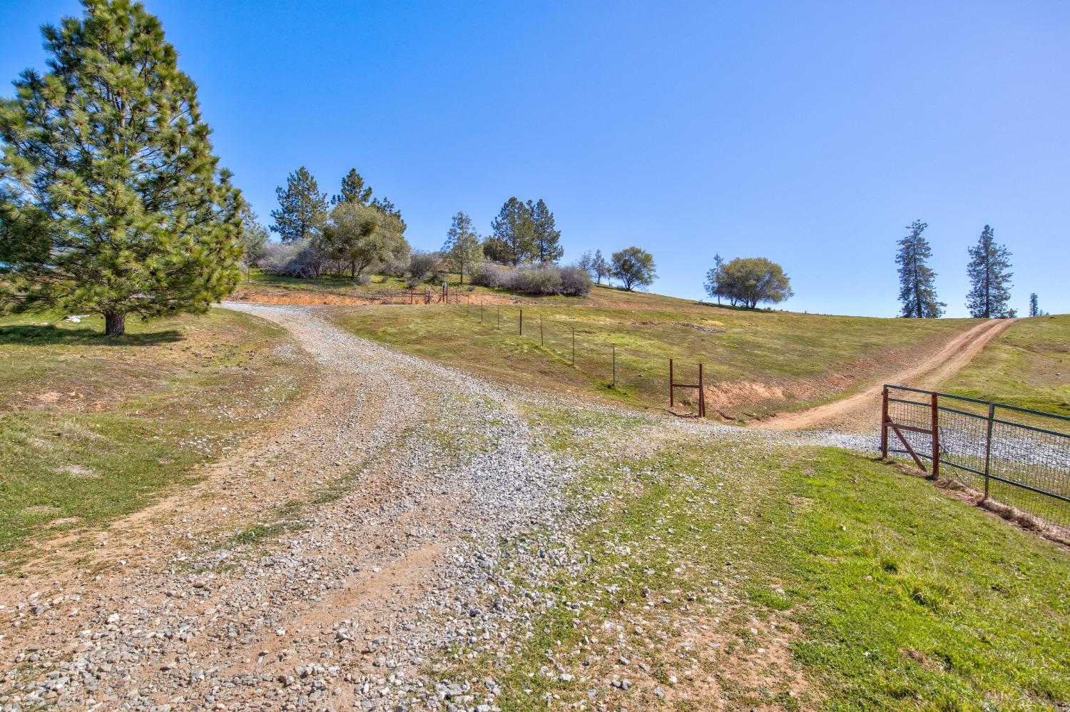 Detail Gallery Image 40 of 90 For 7005 Mountain Ranch Rd, Mountain Ranch,  CA 95246 - – Beds | – Baths