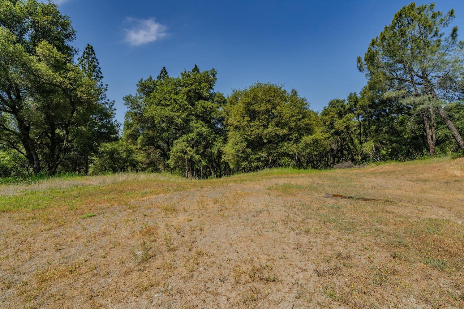 Detail Gallery Image 25 of 80 For 20651 Bertone Rd, Fiddletown,  CA 95629 - – Beds | – Baths