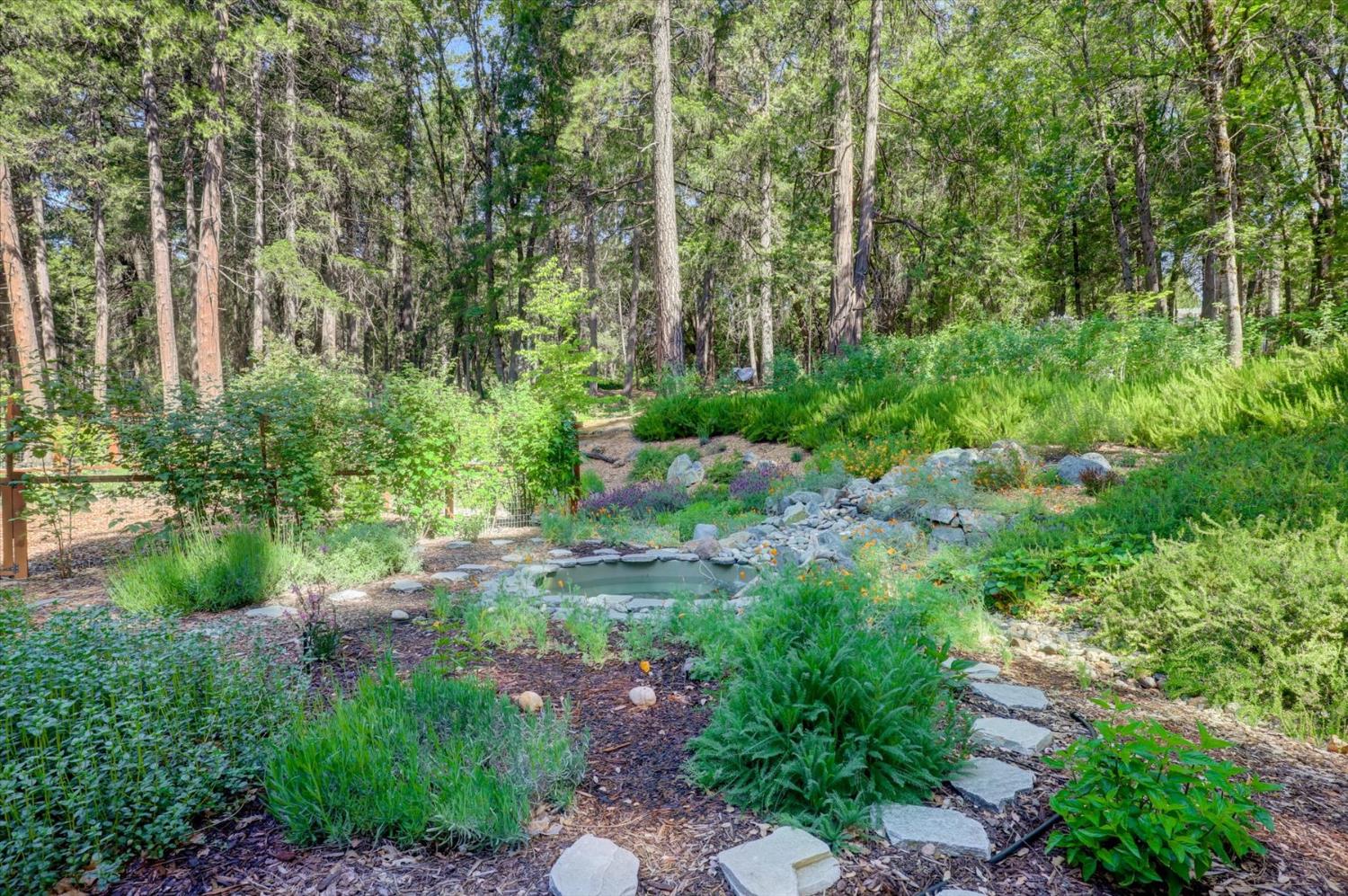 Detail Gallery Image 87 of 99 For 13459 Bass Trail, Grass Valley,  CA 95945 - 4 Beds | 3 Baths