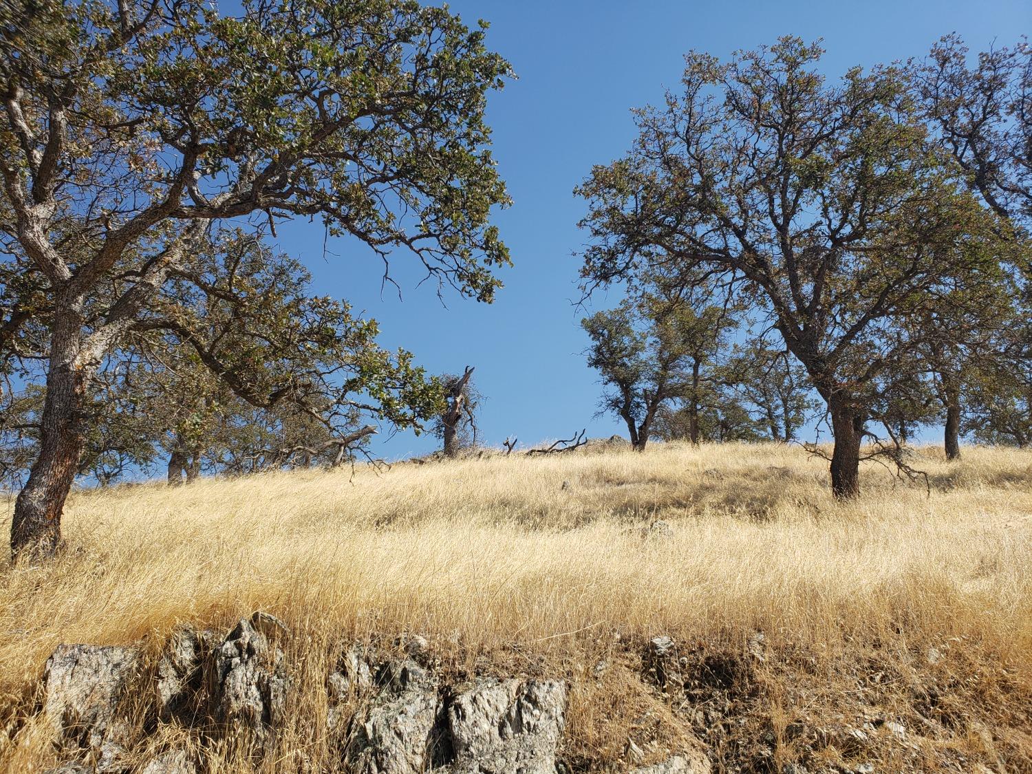 Caracol Circle, La Grange, California image 2