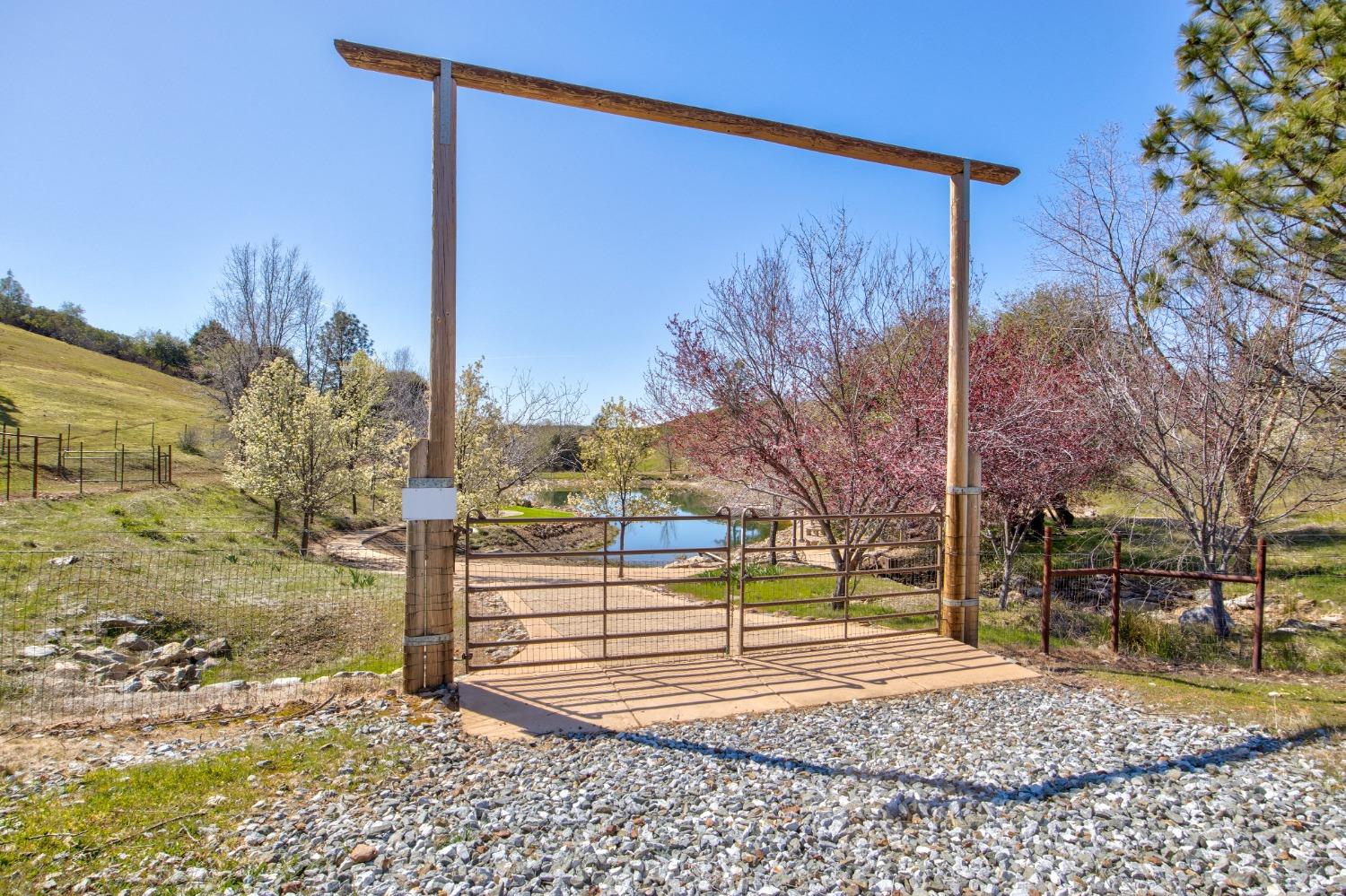 Detail Gallery Image 19 of 90 For 7005 Mountain Ranch Rd, Mountain Ranch,  CA 95246 - – Beds | – Baths