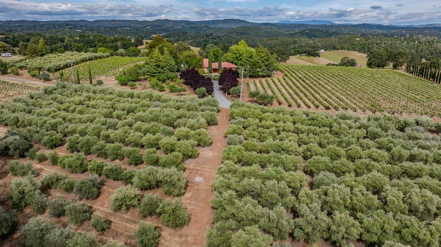 Detail Gallery Image 66 of 73 For 11321 New York Ranch Rd, Jackson,  CA 95642 - 3 Beds | 2/1 Baths