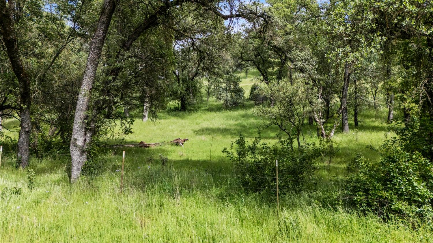 Peoria Road, Browns Valley, California image 11
