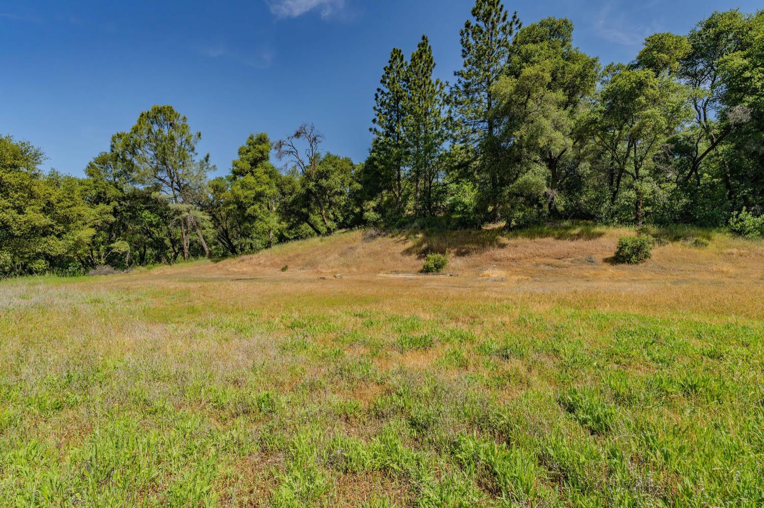 Detail Gallery Image 31 of 80 For 20651 Bertone Rd, Fiddletown,  CA 95629 - – Beds | – Baths