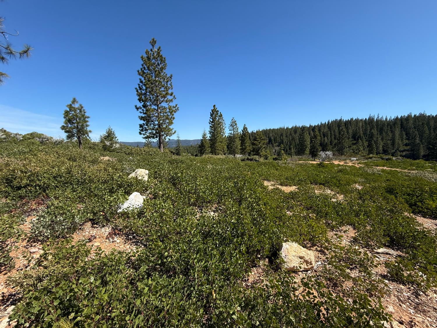 Detail Gallery Image 34 of 35 For 0 Ancho Mine Rd (Lot-1), Nevada City,  CA 95959 - – Beds | – Baths
