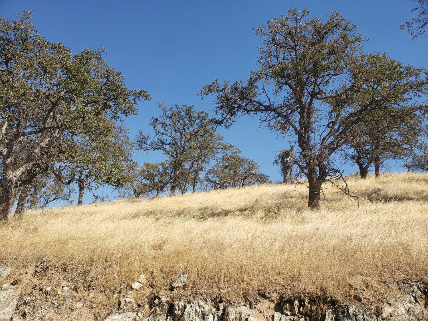 Caracol Circle, La Grange, California image 1