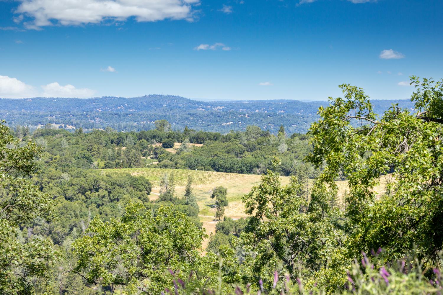 Detail Gallery Image 61 of 63 For 2570 N Mine Rd, Somerset,  CA 95684 - 5 Beds | 4 Baths