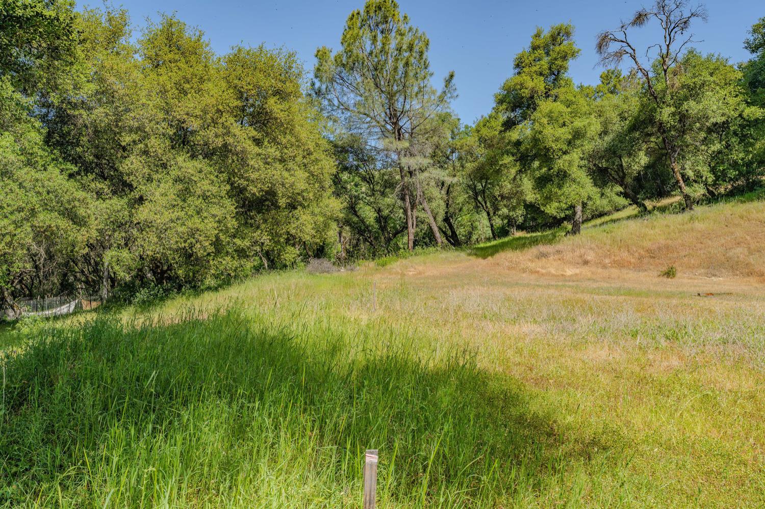 Detail Gallery Image 33 of 80 For 20651 Bertone Rd, Fiddletown,  CA 95629 - – Beds | – Baths