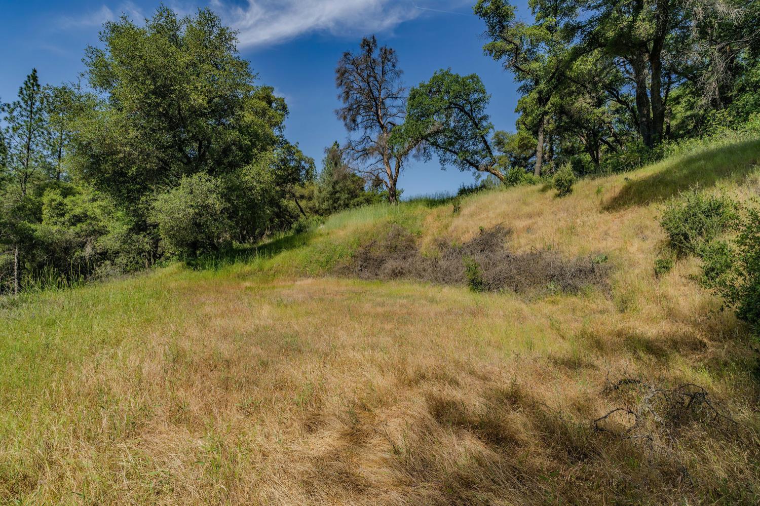 Detail Gallery Image 19 of 80 For 20651 Bertone Rd, Fiddletown,  CA 95629 - – Beds | – Baths