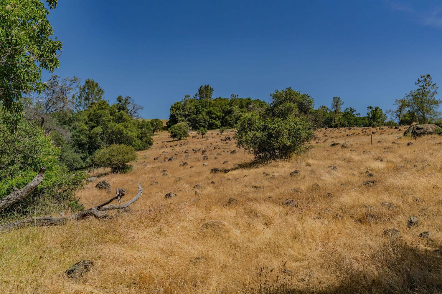 Detail Gallery Image 36 of 80 For 20651 Bertone Rd, Fiddletown,  CA 95629 - – Beds | – Baths