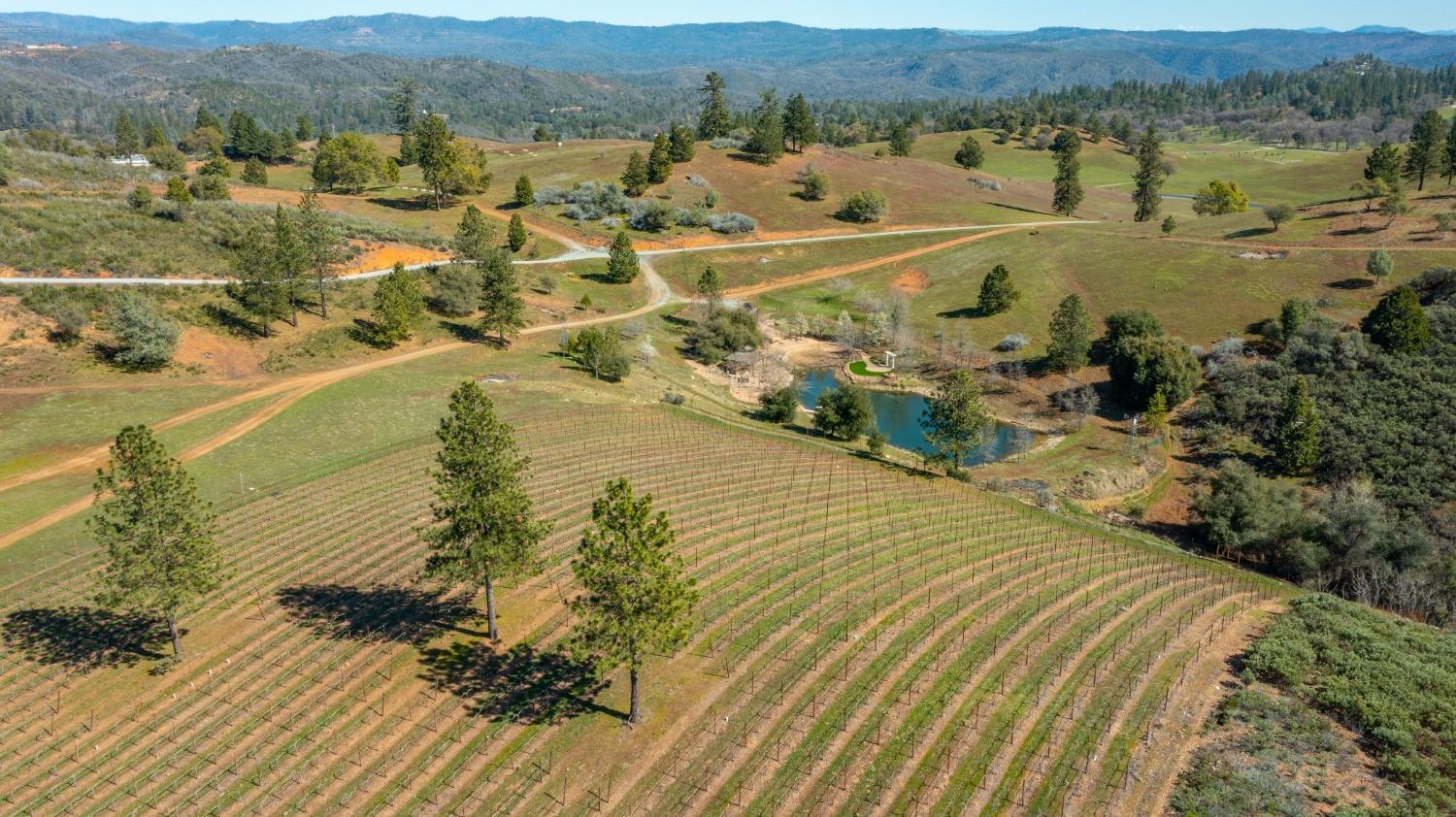 Detail Gallery Image 5 of 90 For 7005 Mountain Ranch Rd, Mountain Ranch,  CA 95246 - – Beds | – Baths