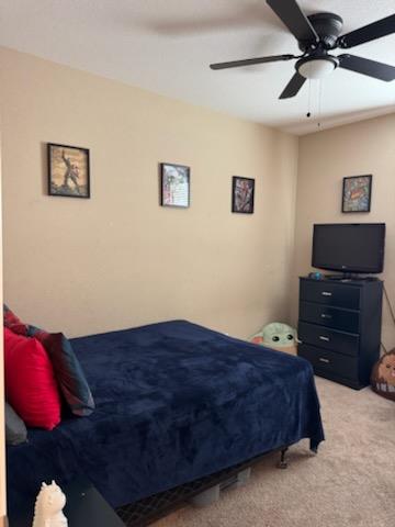 Tule Way, Los Banos, California image 40