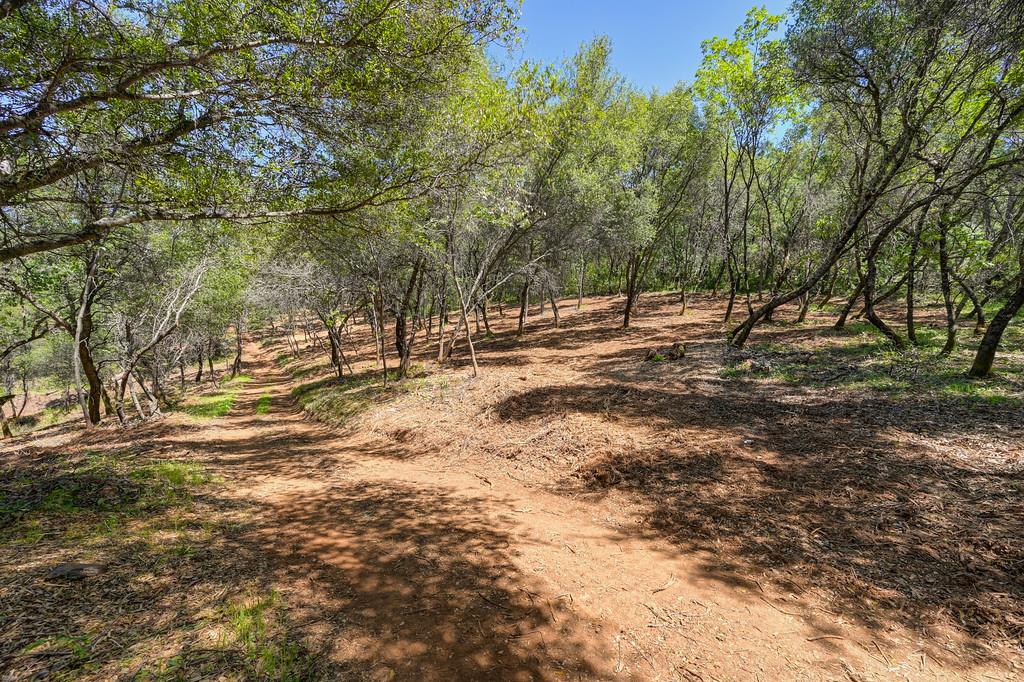 Detail Gallery Image 9 of 50 For 10650 Werner Rd, Auburn,  CA 95603 - – Beds | – Baths