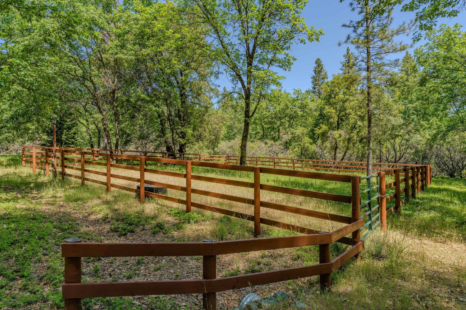 Detail Gallery Image 86 of 98 For 211 Fox Rd, Glencoe,  CA 95232 - 3 Beds | 2 Baths