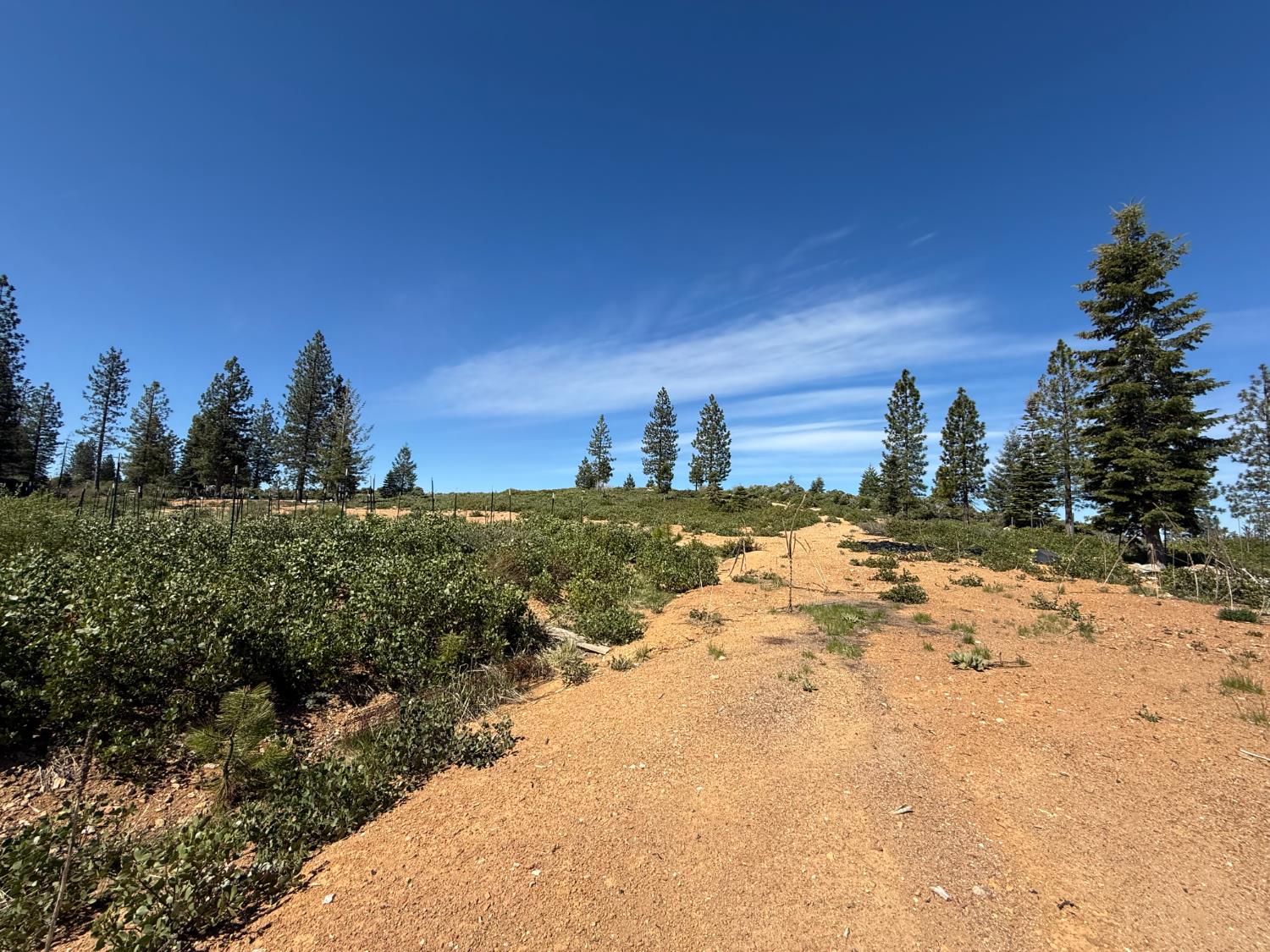 Detail Gallery Image 28 of 35 For 0 Ancho Mine Rd (Lot-1), Nevada City,  CA 95959 - – Beds | – Baths