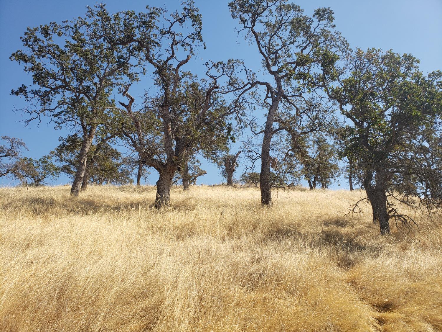 Caracol Circle, La Grange, California image 4