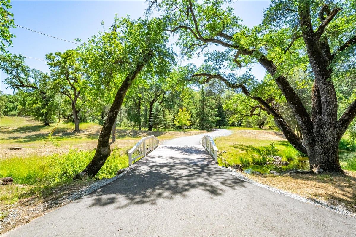 Detail Gallery Image 54 of 69 For 2951 N Shingle Rd, Shingle Springs,  CA 95682 - 3 Beds | 3 Baths