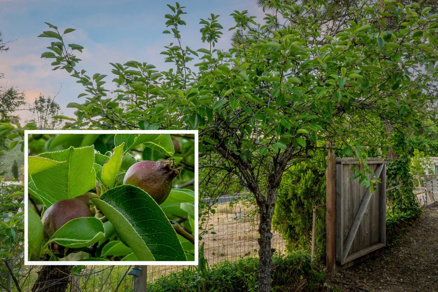 Detail Gallery Image 9 of 51 For 1567 Mulberry Dr, Grass Valley,  CA 95945 - 2 Beds | 2 Baths