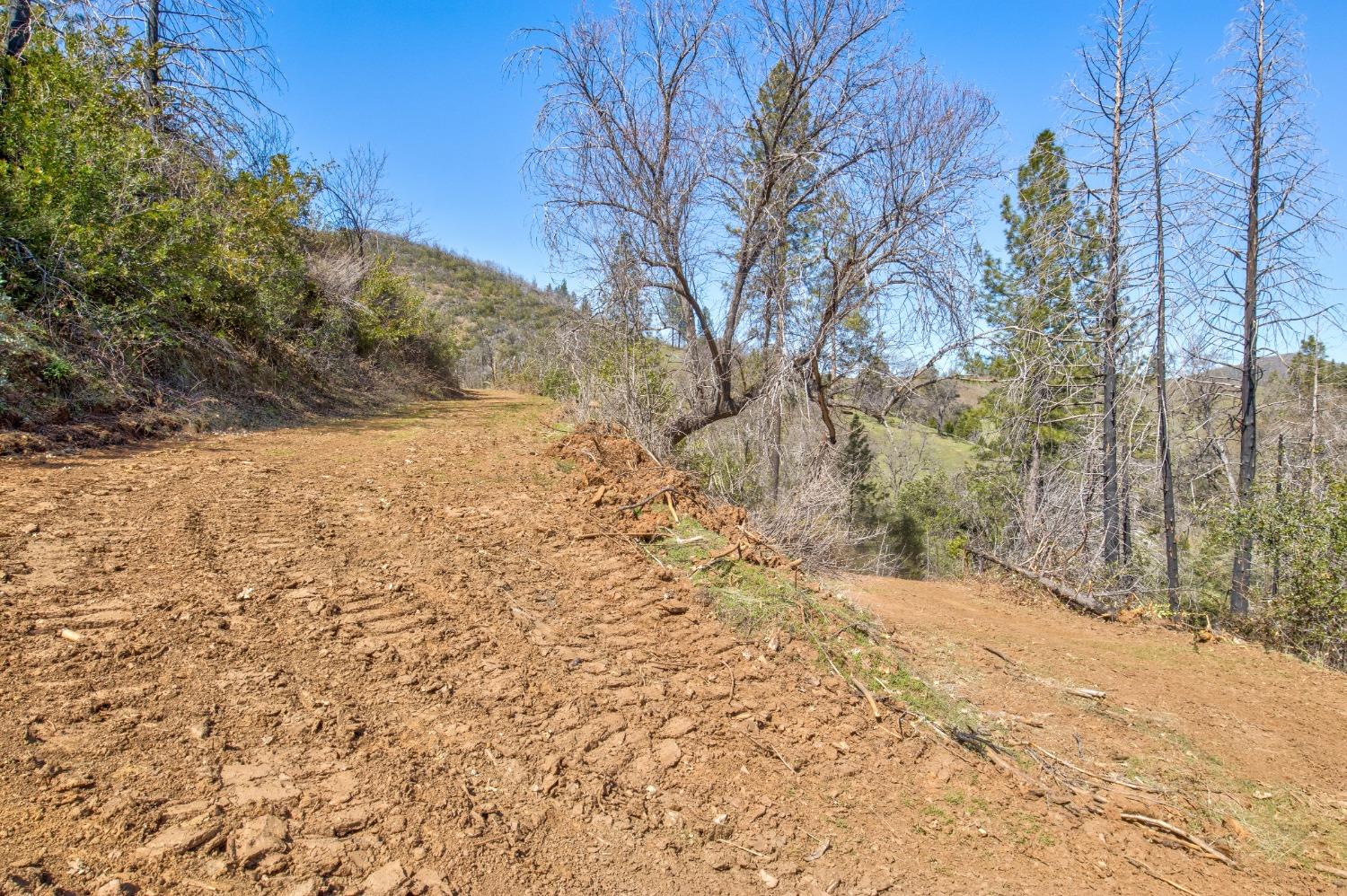 Detail Gallery Image 58 of 90 For 7005 Mountain Ranch Rd, Mountain Ranch,  CA 95246 - – Beds | – Baths