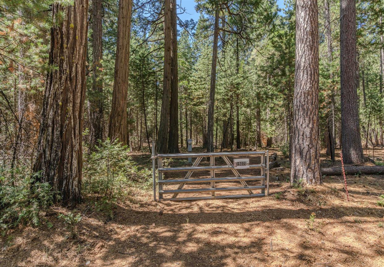 Detail Gallery Image 1 of 35 For 19375 Cherokee Ln, Volcano,  CA 95689 - – Beds | – Baths