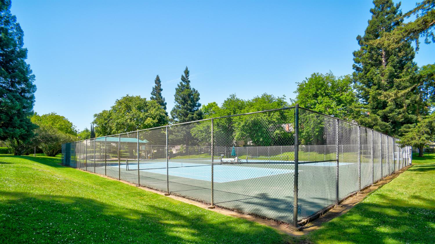 Photo #54: 225053246 Listing: Photo #54