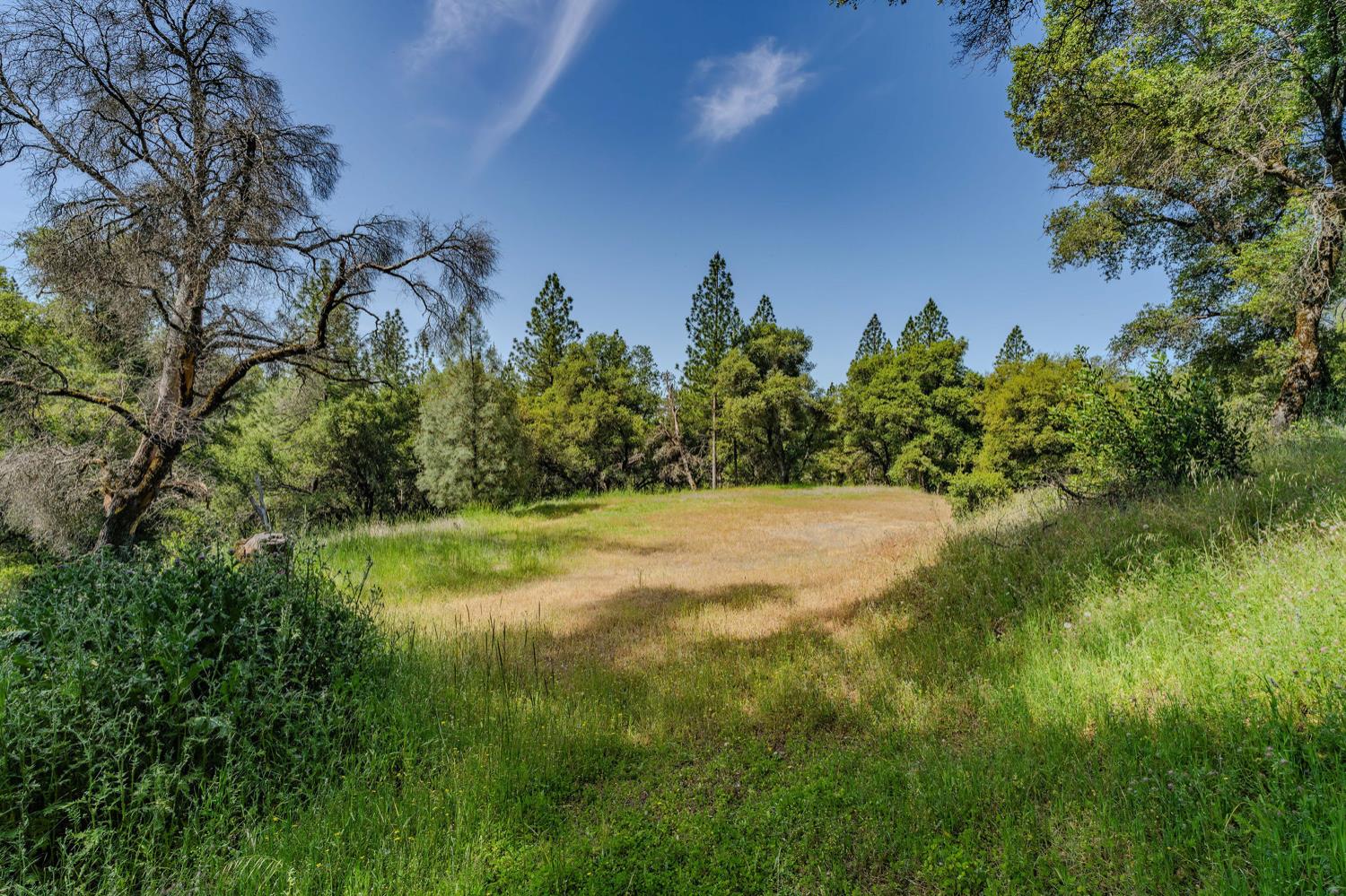 Detail Gallery Image 28 of 80 For 20651 Bertone Rd, Fiddletown,  CA 95629 - – Beds | – Baths