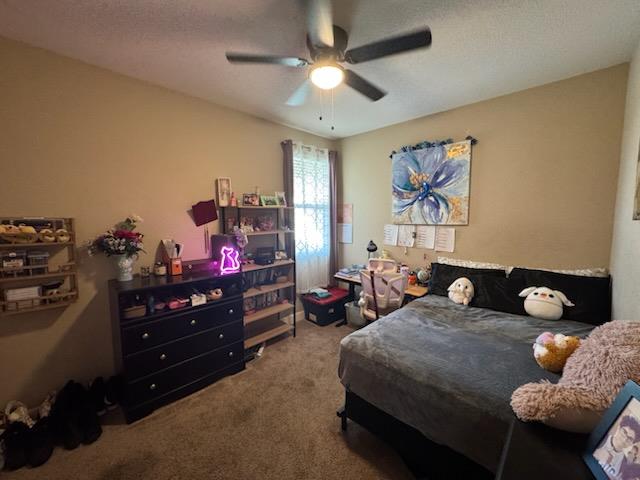 Tule Way, Los Banos, California image 44