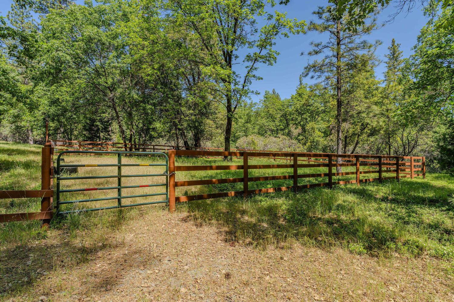 Detail Gallery Image 87 of 98 For 211 Fox Rd, Glencoe,  CA 95232 - 3 Beds | 2 Baths