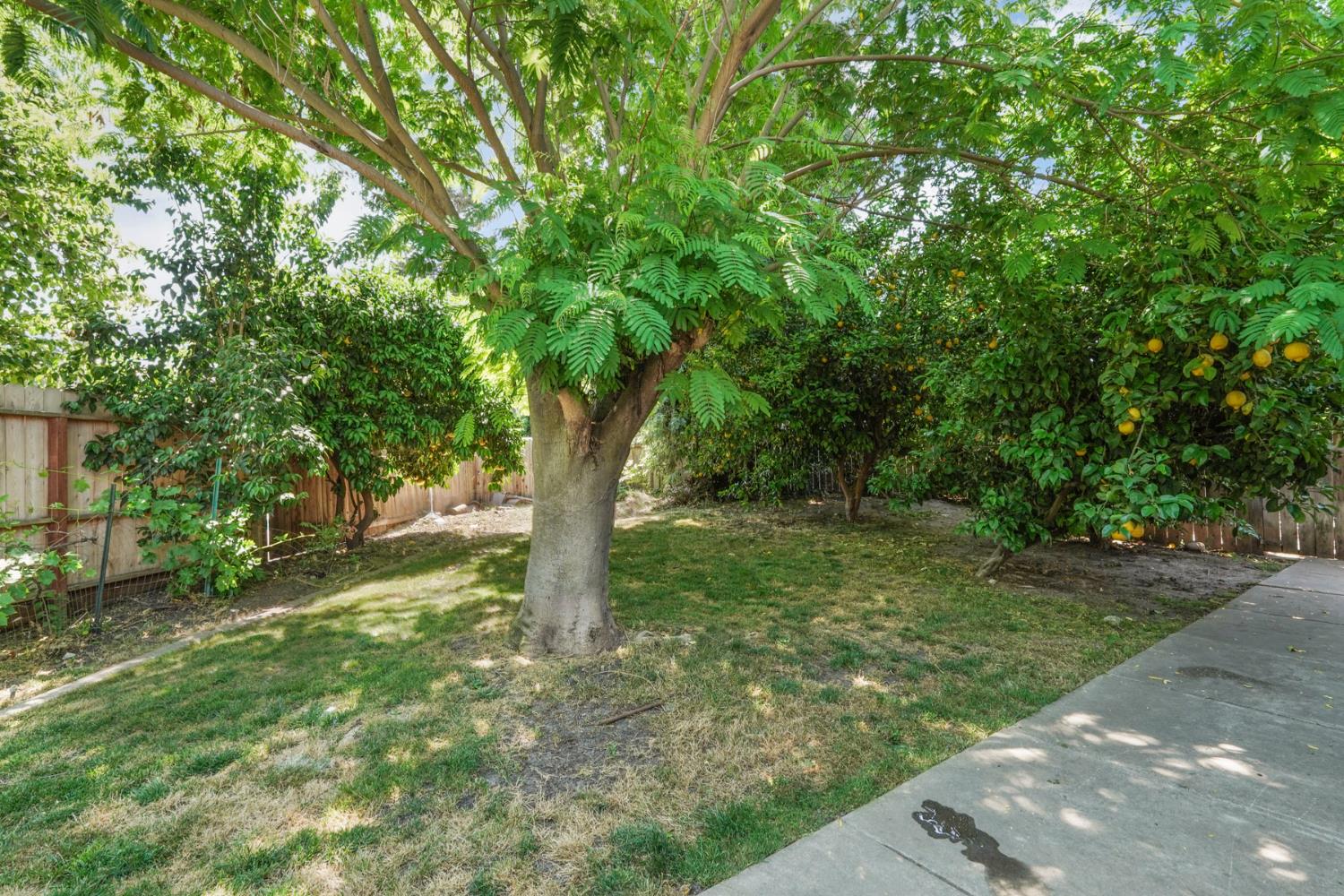 Detail Gallery Image 31 of 43 For 2903 Raintree Ct., Stockton,  CA 95219 - 3 Beds | 2 Baths