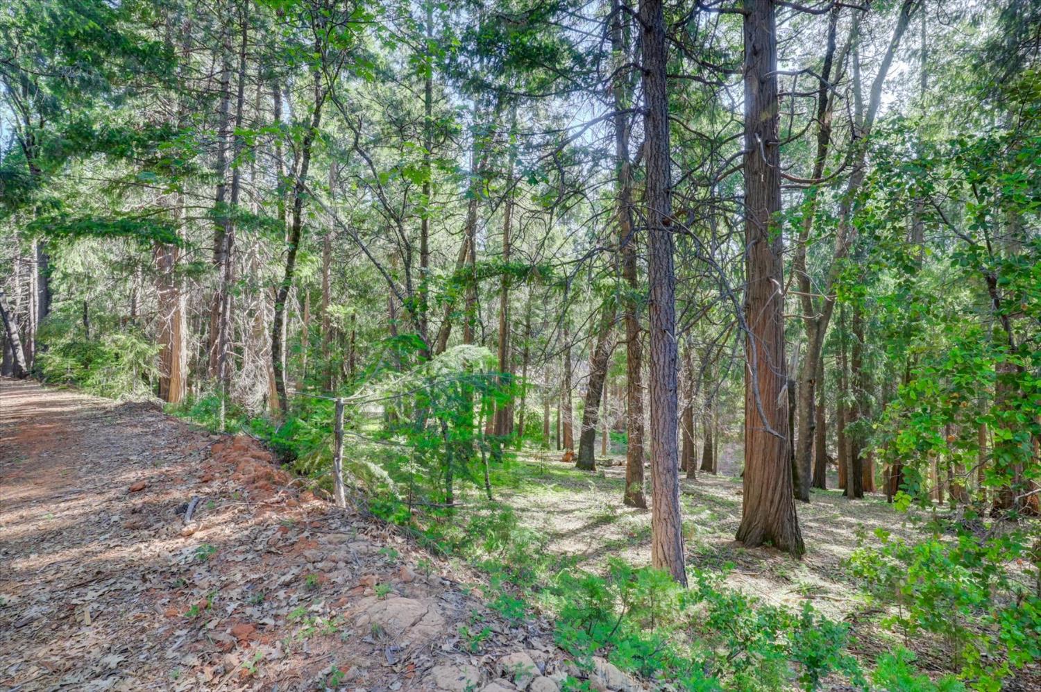 Detail Gallery Image 65 of 99 For 13459 Bass Trail, Grass Valley,  CA 95945 - 4 Beds | 3 Baths