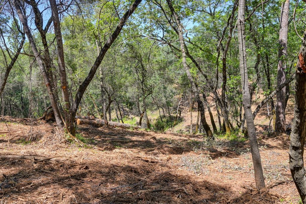 Detail Gallery Image 17 of 50 For 10650 Werner Rd, Auburn,  CA 95603 - – Beds | – Baths