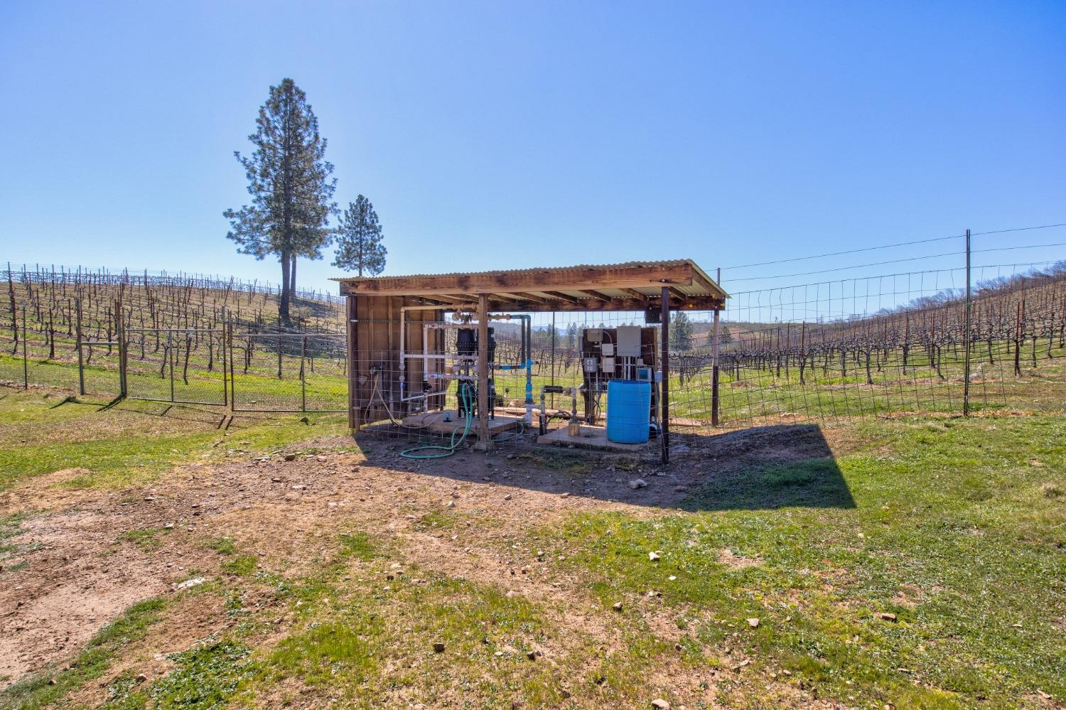 Detail Gallery Image 45 of 90 For 7005 Mountain Ranch Rd, Mountain Ranch,  CA 95246 - – Beds | – Baths