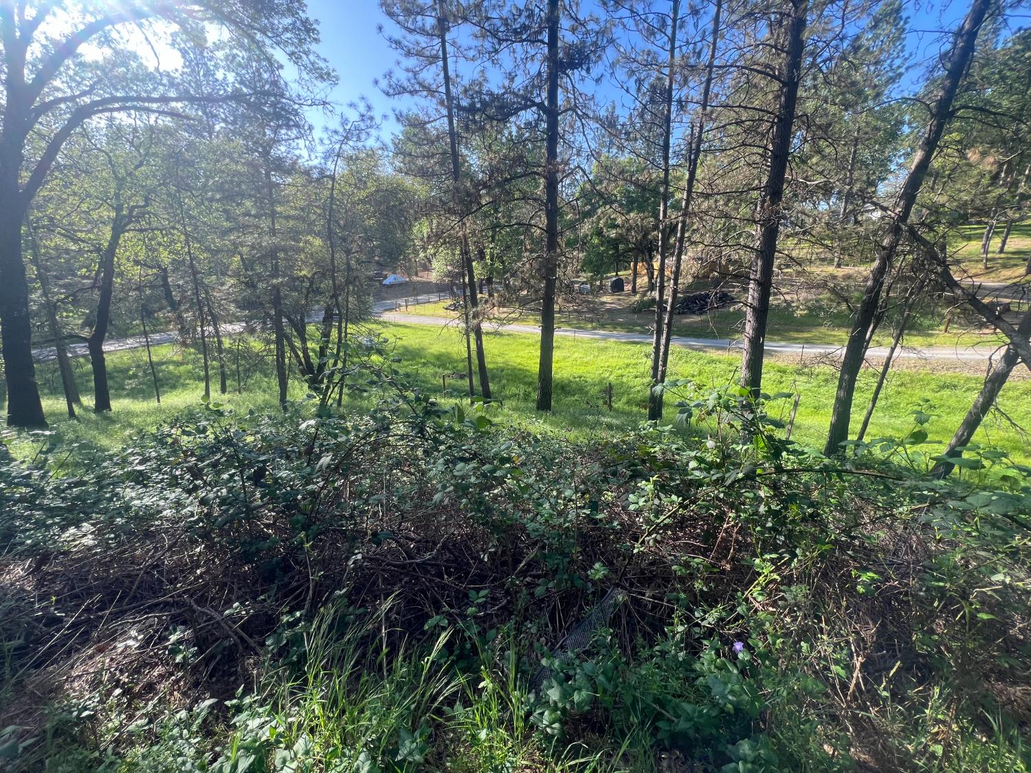 Combie Road, Meadow Vista, California image 29