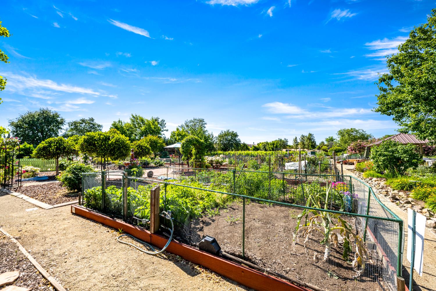 Detail Gallery Image 52 of 53 For 7473 Grassy Creek Way, El Dorado Hills,  CA 95762 - 2 Beds | 2/1 Baths
