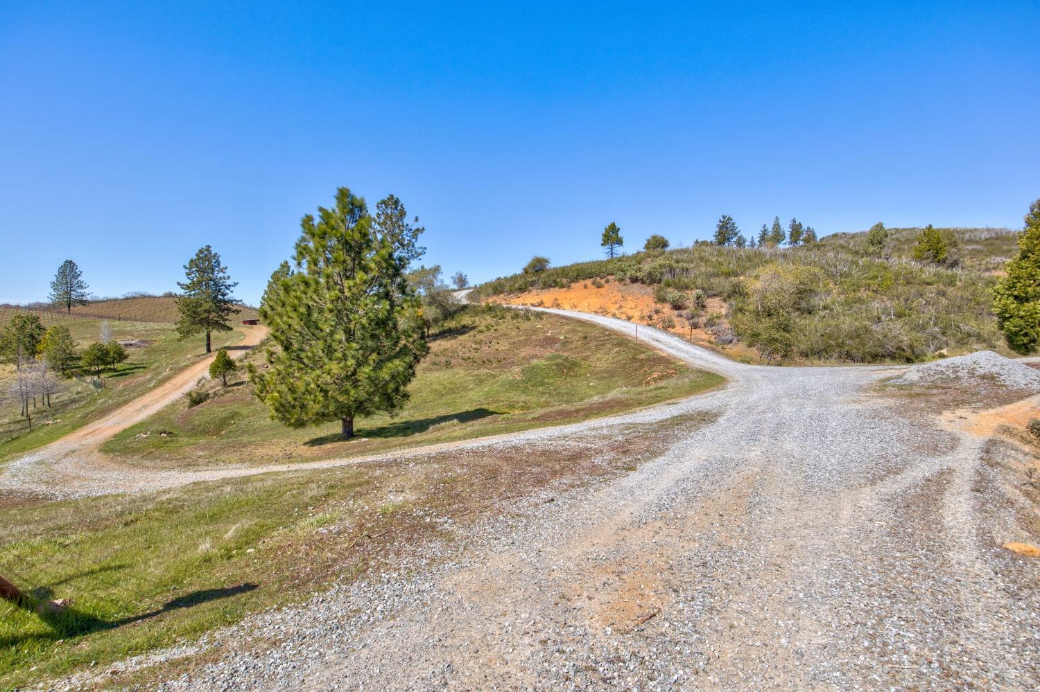 Detail Gallery Image 39 of 90 For 7005 Mountain Ranch Rd, Mountain Ranch,  CA 95246 - – Beds | – Baths