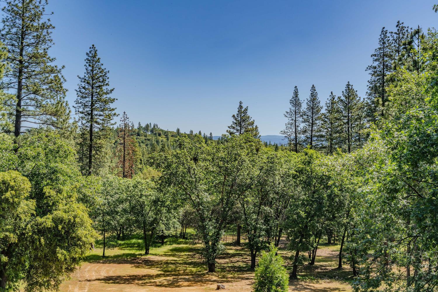 Detail Gallery Image 81 of 98 For 211 Fox Rd, Glencoe,  CA 95232 - 3 Beds | 2 Baths