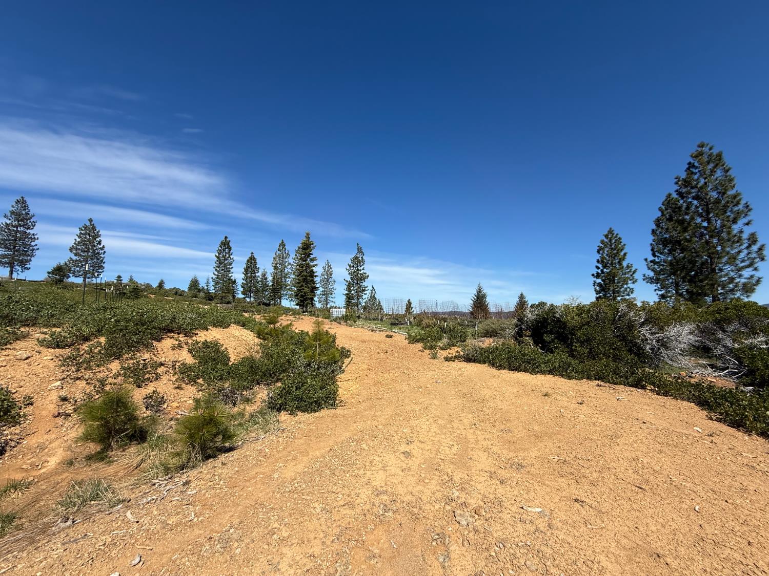 Detail Gallery Image 26 of 35 For 0 Ancho Mine Rd (Lot-1), Nevada City,  CA 95959 - – Beds | – Baths