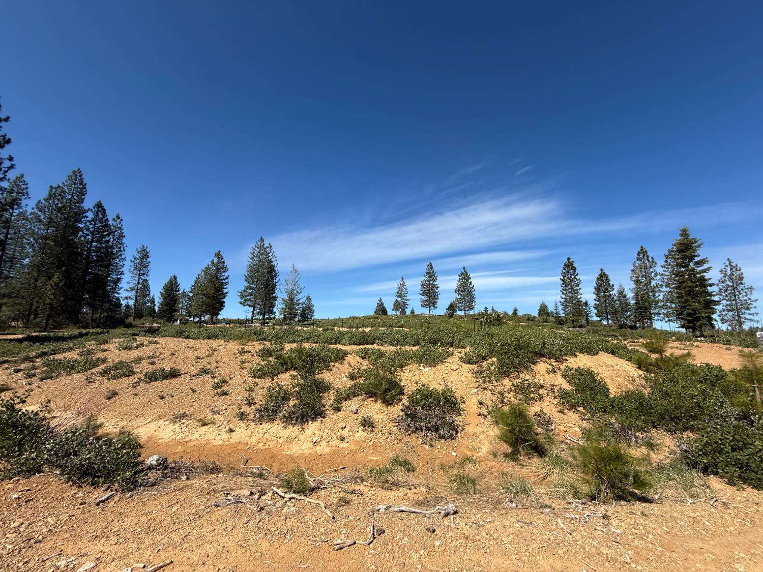 Detail Gallery Image 27 of 35 For 0 Ancho Mine Rd (Lot-1), Nevada City,  CA 95959 - – Beds | – Baths