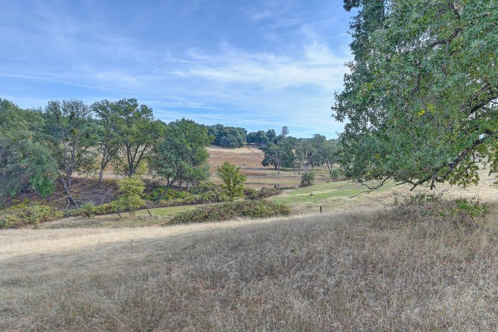 Detail Gallery Image 19 of 50 For 5520 Mother Lode Dr, Placerville,  CA 95667 - – Beds | – Baths