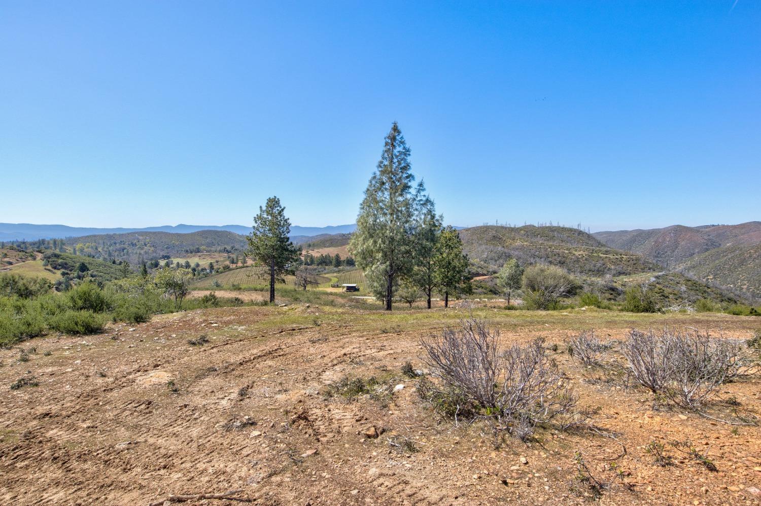 Detail Gallery Image 56 of 90 For 7005 Mountain Ranch Rd, Mountain Ranch,  CA 95246 - – Beds | – Baths