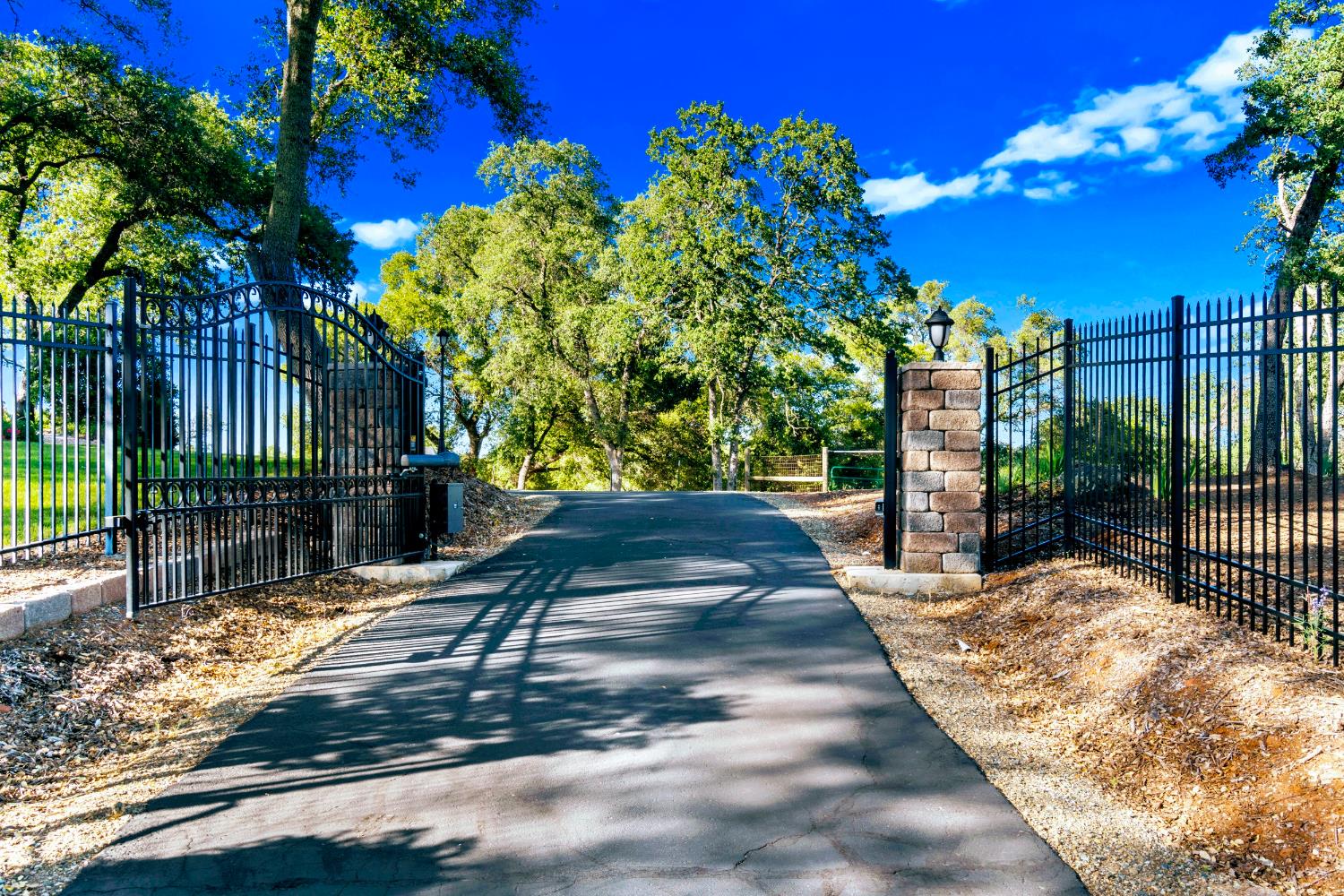 Detail Gallery Image 3 of 83 For 5001 Mourning Dove Ln, Shingle Springs,  CA 95682 - 4 Beds | 3/1 Baths