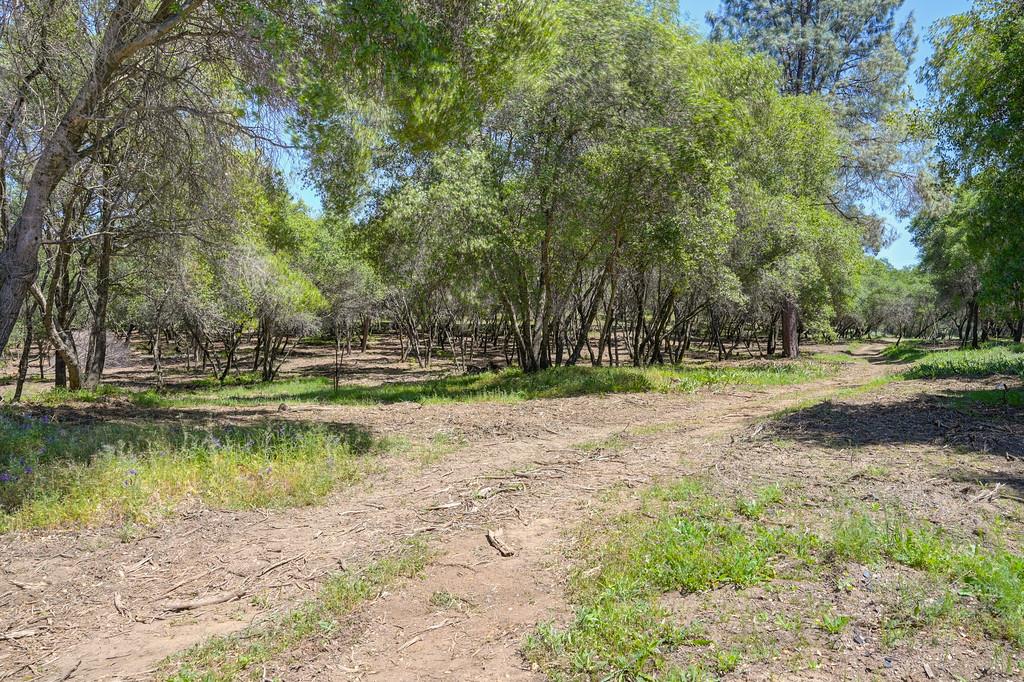 Detail Gallery Image 1 of 50 For 10650 Werner Rd, Auburn,  CA 95603 - – Beds | – Baths