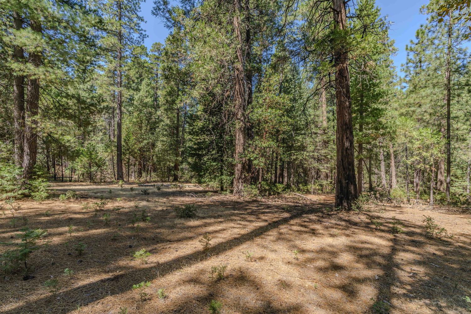Detail Gallery Image 17 of 35 For 19375 Cherokee Ln, Volcano,  CA 95689 - – Beds | – Baths